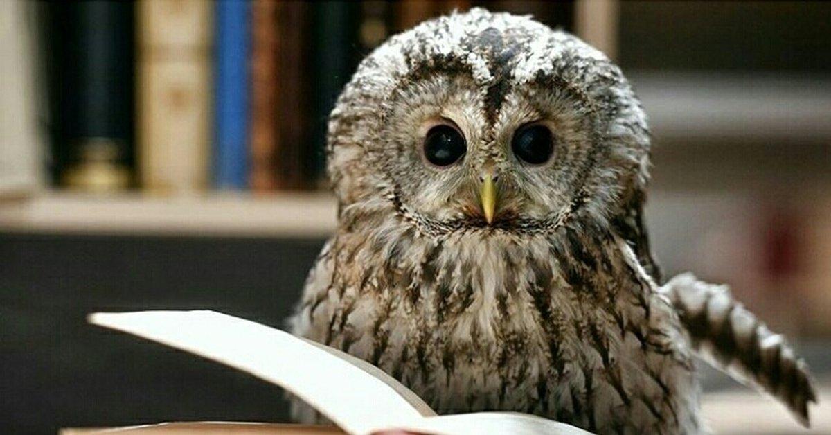 Выходные с IrkToday: книжки - днем, музеи - ночью