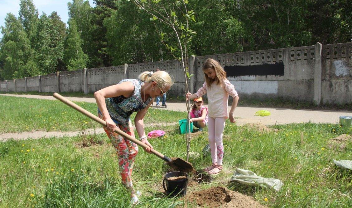 100 саженцев сирени, пузыреплодника и спиреи высадили на будущей аллее семьи в Ангарске