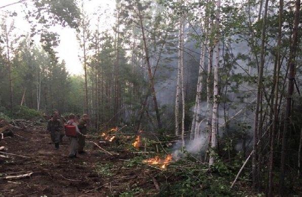 Пять пожаров в региональных заказниках Иркутской области ликвидированы