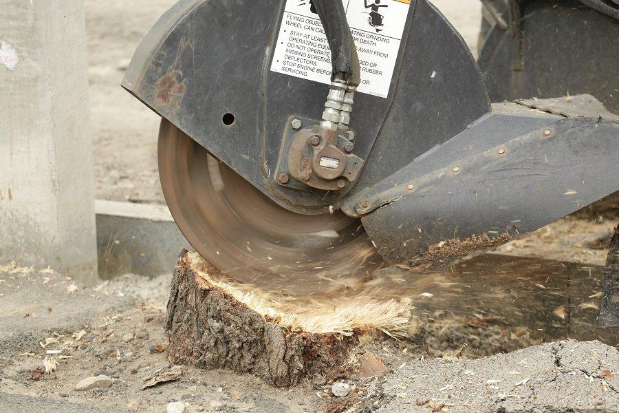 Центральные улицы Иркутска готовят под посадки деревьев
