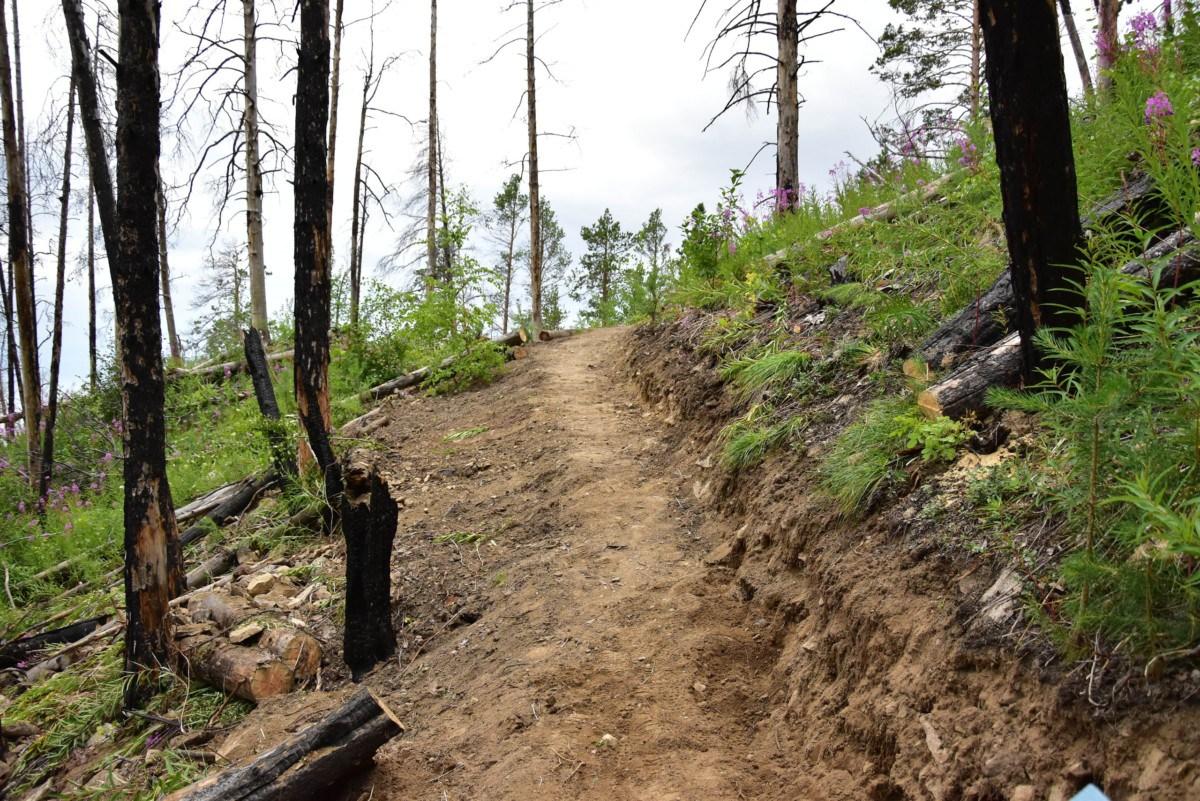 Волонтеры благоустроили экотропу на полуострове Святой Нос на Байкале