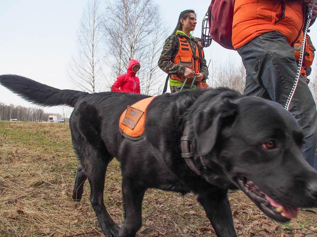 Без вести пропавшего путешественника ищут в Иркутской области