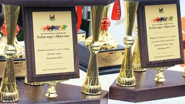 Конноспортивные соревнования на Кубок мэра Иркутска состоятся 8 сентября