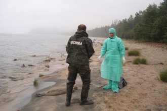 На Байкале вновь обнаружили мертвых нерп