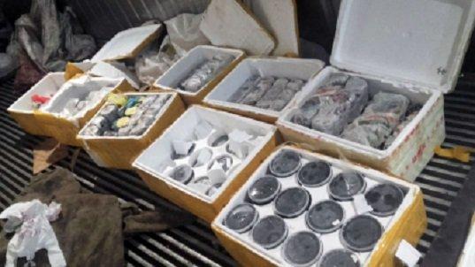 115 кг икры на 7 миллионов рублей изъяли полицейские в Слюдянском районе