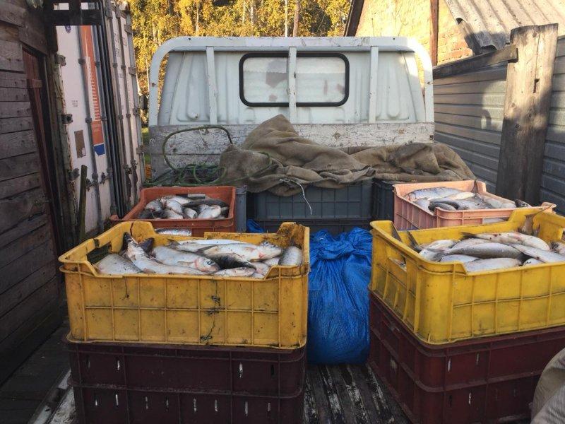 230 килограммов омуля изъяли в Слюдянке у жителя Бурятии