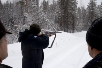 Депутат Госдумы направил запрос в прокуратуру по факту убийства губернатором Иркутской области спящего медведя
