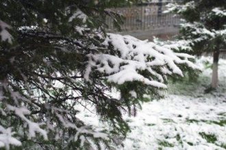 Дожди с мокрым снегом ожидаются в Иркутской области в ближайшие дни