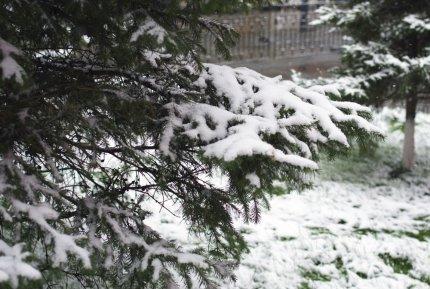 Дожди с мокрым снегом ожидаются в Иркутской области в ближайшие дни