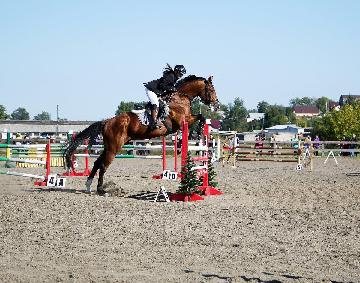 Конноспортивные соревнования на Кубок мэра прошли в Иркутске