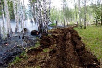 Лесной пожар тушат на землях Прибайкальского нацпарка