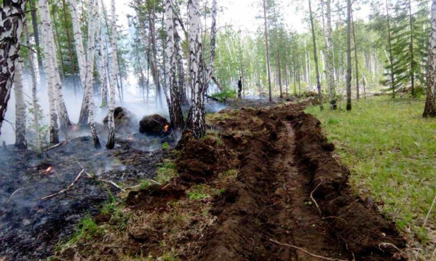 Лесной пожар тушат на землях Прибайкальского нацпарка