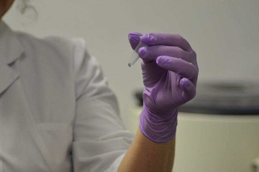 Наука крупным планом: опасный новый вирус клещевого энцефалита