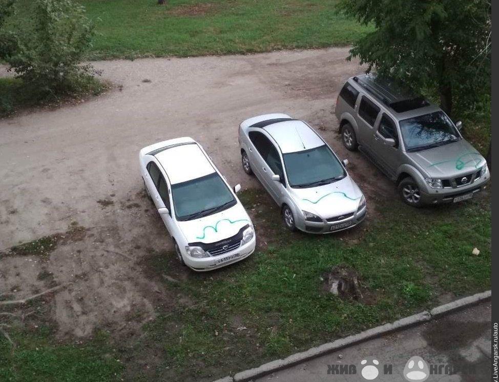 Неизвестный в Ангарске покрасил зеленой краской три авто, припаркованных на газоне