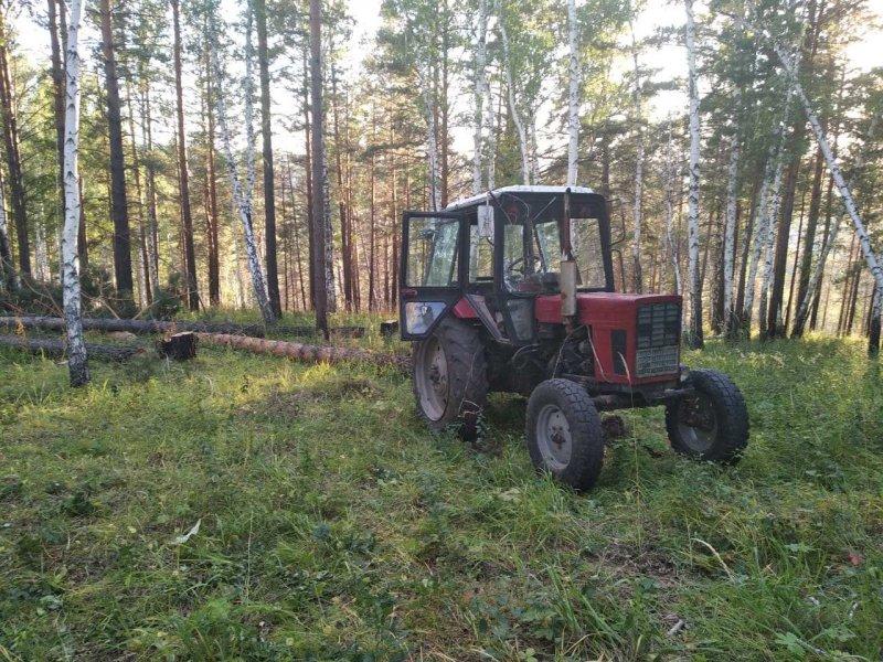 Незаконную рубку леса пресекли в Ангарске