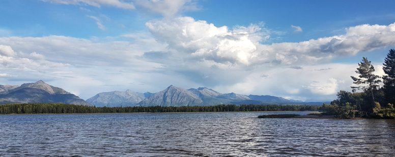 Природоохранная прокуратура пресекла вырубку леса в заказнике "Лебединые озера" Иркутской области