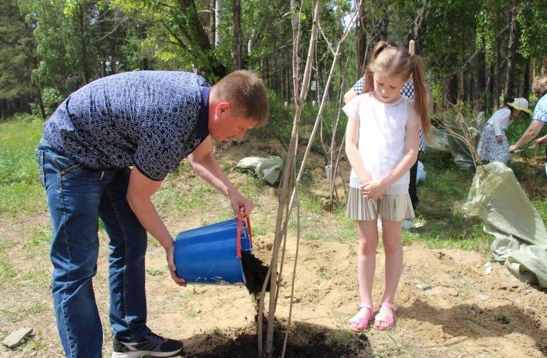 Проект «Семейное дерево» реализуют в Ангарске