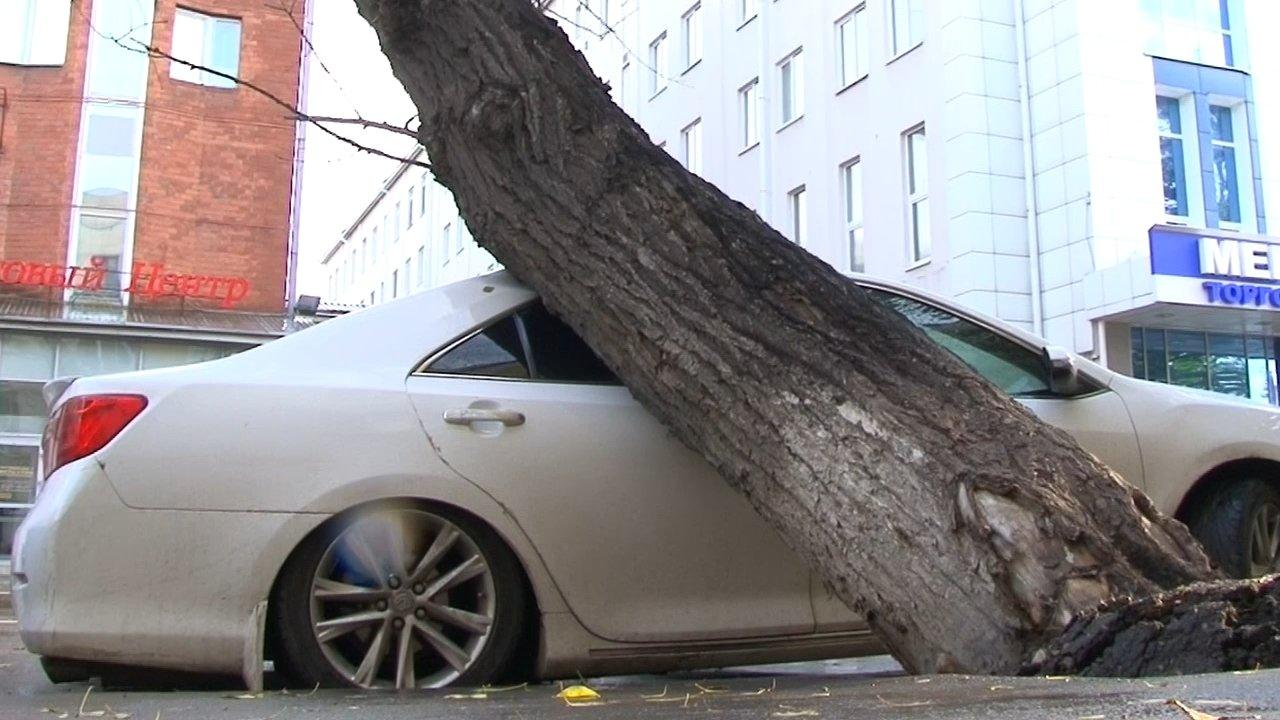 Тополь рухнул на припаркованное авто в центре Иркутска