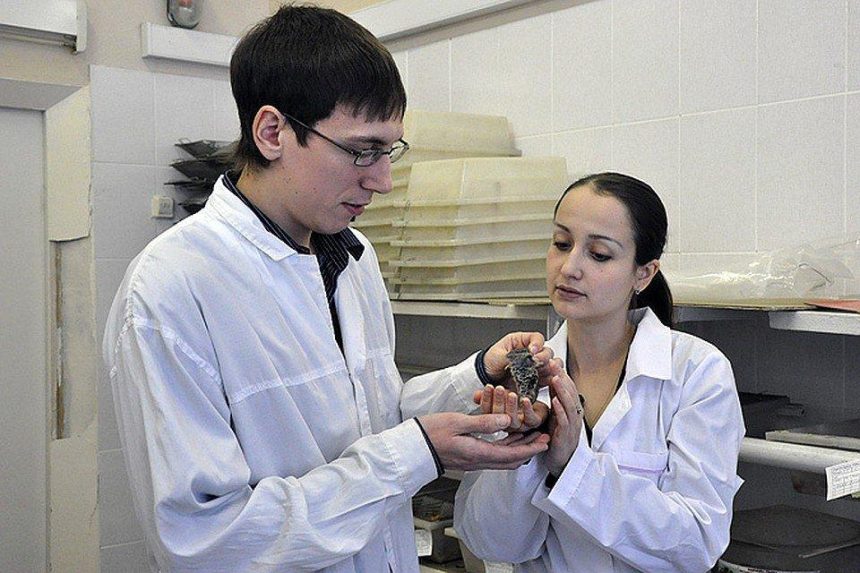Ученые открыли сбор средств на проект по изучению и сохранению ольхонской полёвки