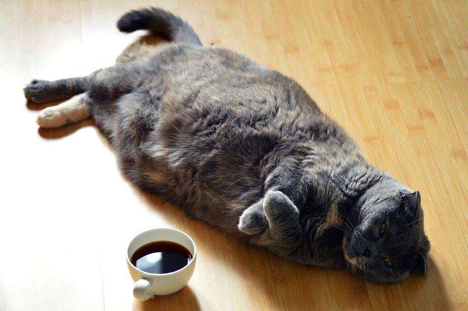Выходные с IrkToday: не заскучаешь!