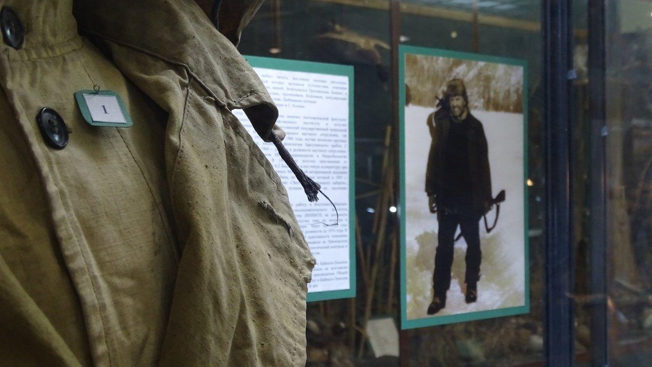 Выставка "Профессор тайги" открыта в Иркутске