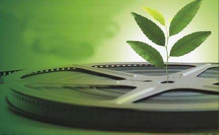 Ярмарка эко-фильмов, концерты и флешмоб пройдут в Иркутске 8 сентября