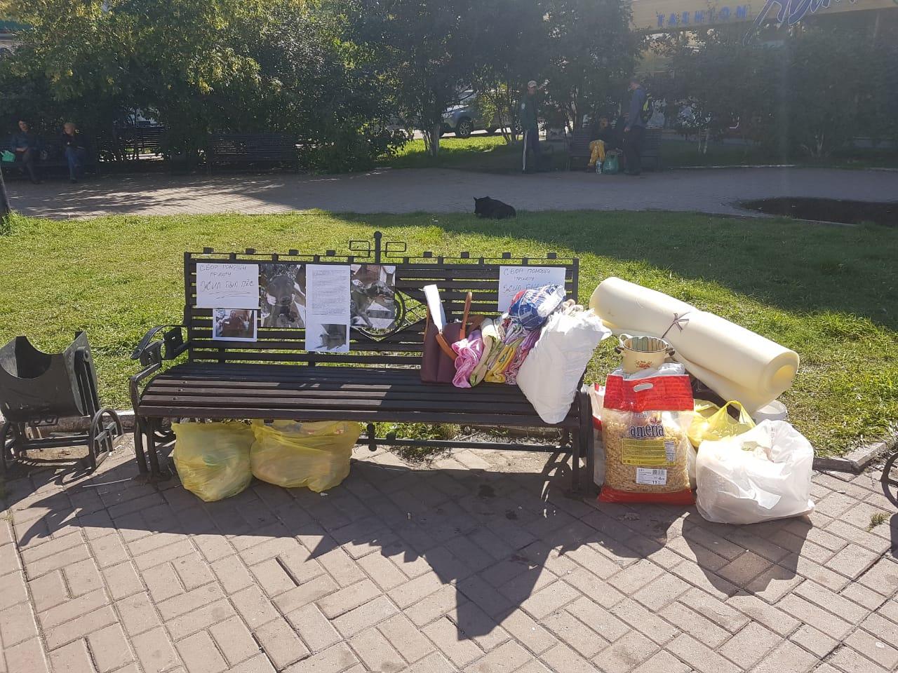 Зоозащитники проведут в Иркутске акцию по сбору помощи животным