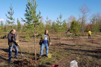 В Нижнем парке Усолья-Сибирского высадили 100 деревьев