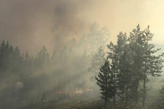 В Прибайкальском нацпарке в прошедшем пожароопасном сезоне произошло 7 возгораний