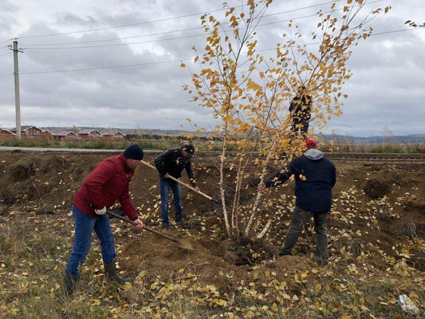 Ветераны-первостроители высадили в Шелехове 100 деревьев