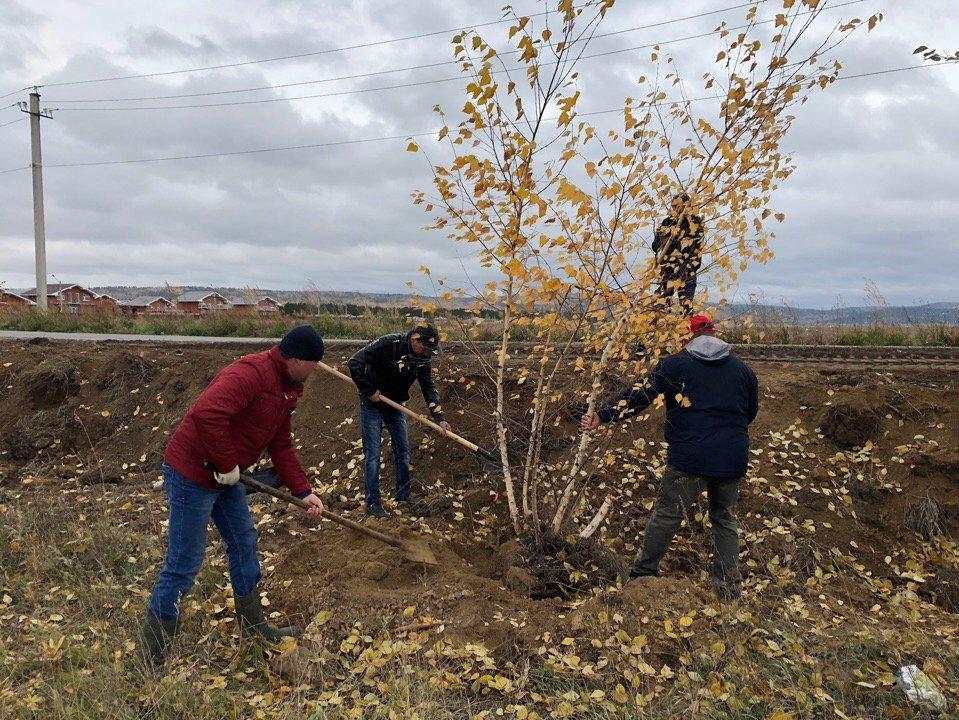 Ветераны-первостроители высадили в Шелехове 100 деревьев