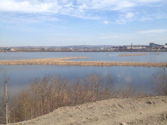 Экологи против застройки болот Ново-Ленинского озерно-болотного комплекса