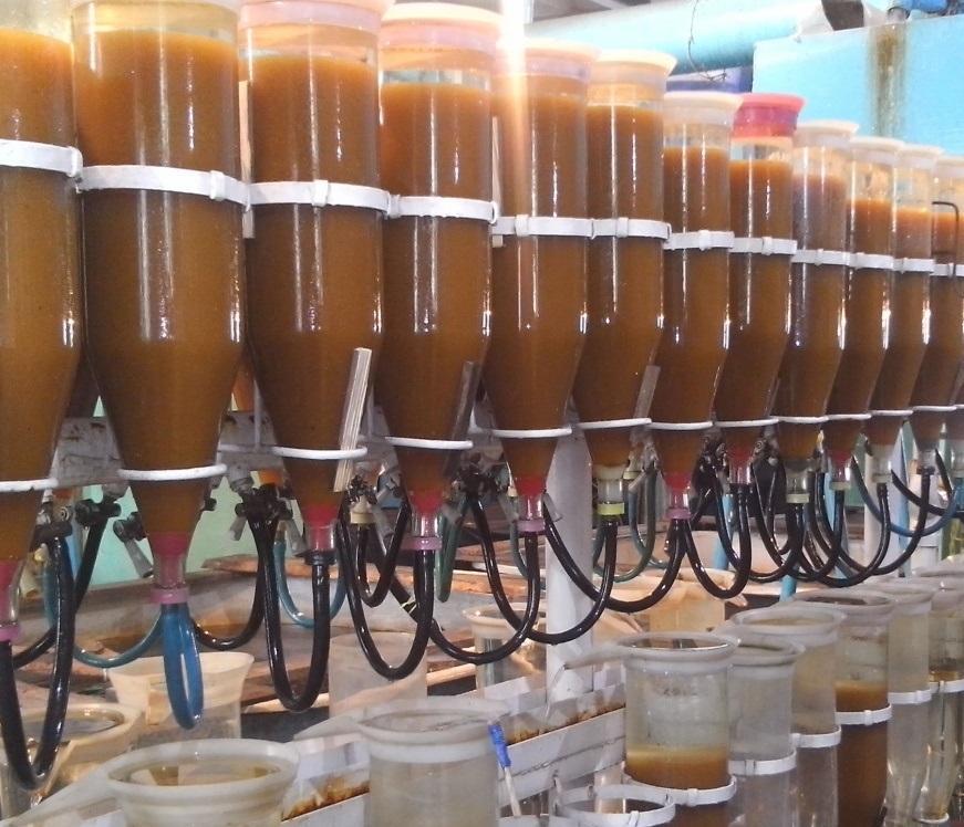 Не менее 4-5 млн штук молоди омуля и пеляди выпустят в Братское водохранилище в 2019 году