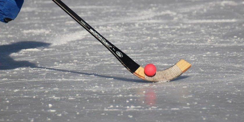 Жителям Приангарья предложат самим создать эмблему Чемпионата мира по хоккею с мячом, который пройдет в Иркутске