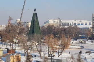 Главную ёлку Иркутска откроют 22 декабря