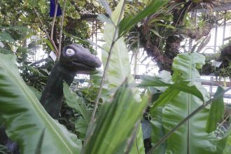 Иркутский ботанический сад объявил конкурс "Сочини своего динозавра"