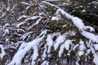 О погоде: в Иркутской области наступают морозные дни