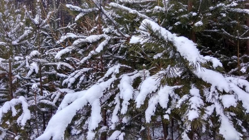 О погоде: в Иркутской области наступают морозные дни