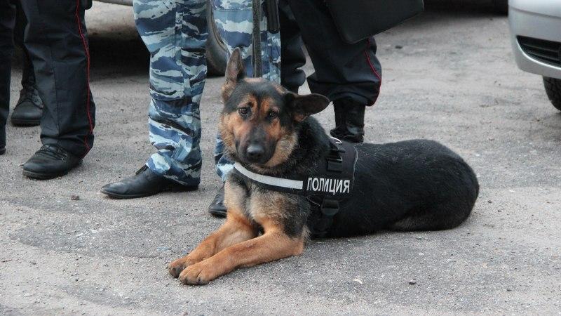 Полиция перекрыла межрегиональный канал поставки наркотиков в Иркутск
