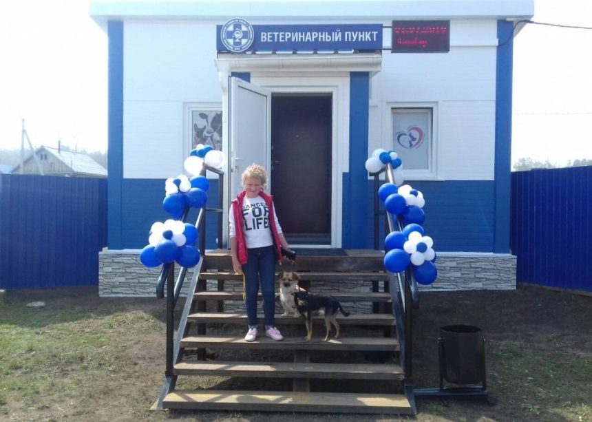Пять ветеринарных пунктов ввели в Иркутской области в 2018 году