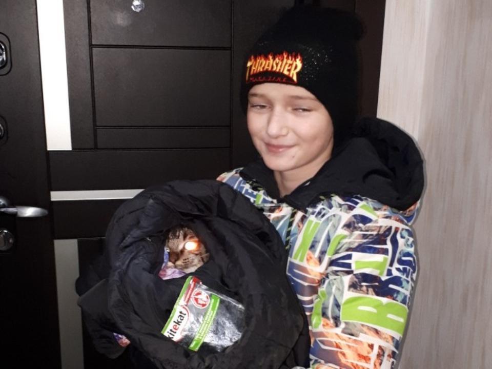 Ребенок в Усть-Куте спас примерзшую ко льду кошку