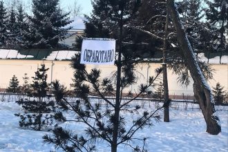 В Иркутске обрабатывают хвойные деревья, чтобы не допустить незаконную рубку