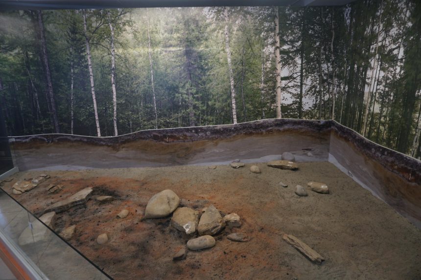 В Иркутском краеведческом музее появилась реконструкция стоянки древнего человека
