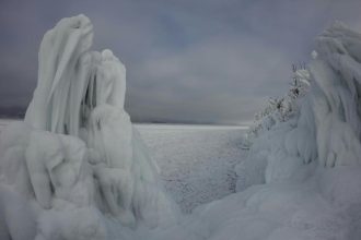 WWF России - о главных итогах 2018 года в экологии