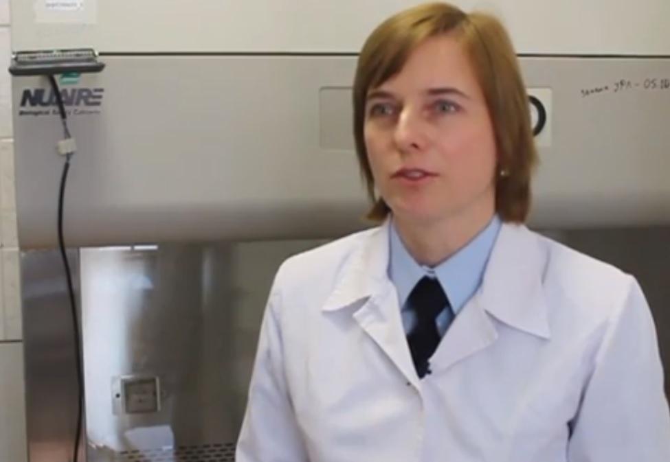 Замначальника отдела биологических экспертиз и исследований ЭКЦ ГУ МВД России - о поисках серийного насильника