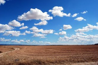 Иркутская область впервые получила субсидию из федерального бюджета на мелиорацию