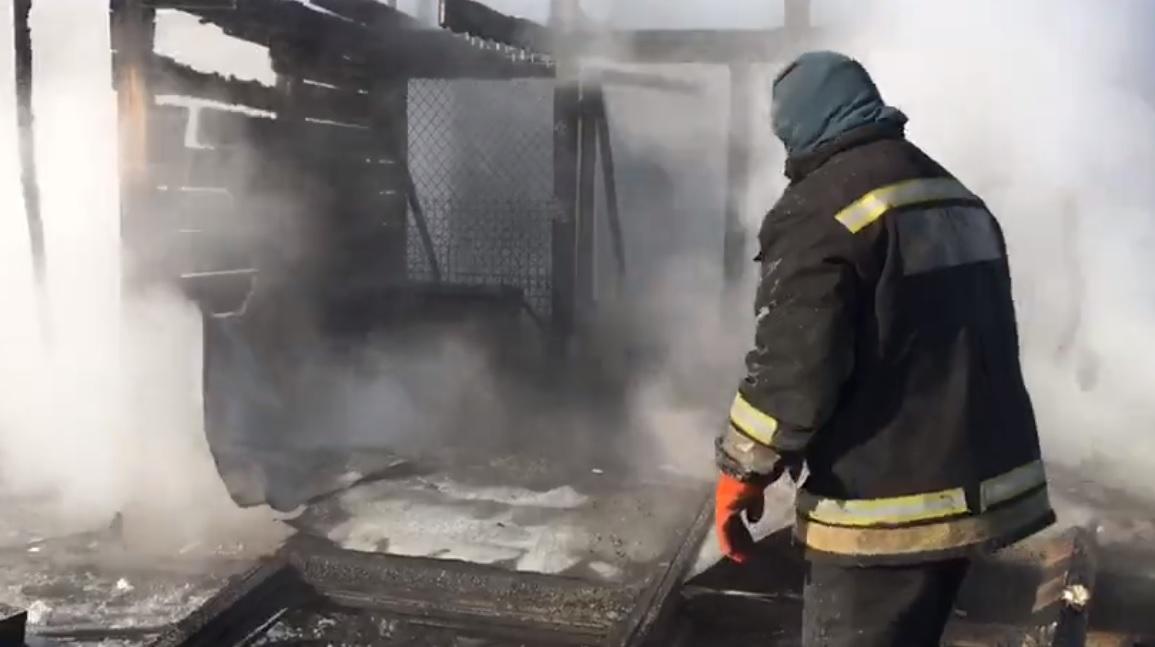 Приют для животных "Ной" горел в Иркутске 6 февраля