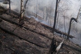 Лесной пожар произошел на тропе к Пику Любви в Аршане