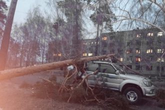 На север Приангарья опрокинулся шквальный ветер. Фото