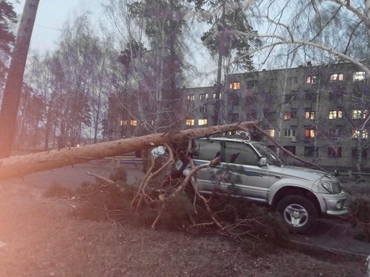 На север Приангарья опрокинулся шквальный ветер. Фото